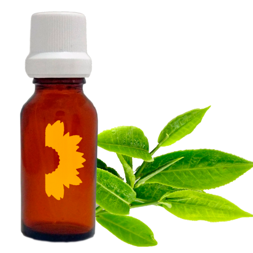 Aceite Esencial Árbol de Te