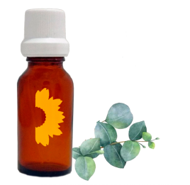 Aceite esencial de eucalipto