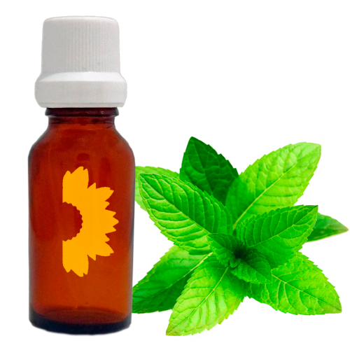 Aceite Esencial Menta
