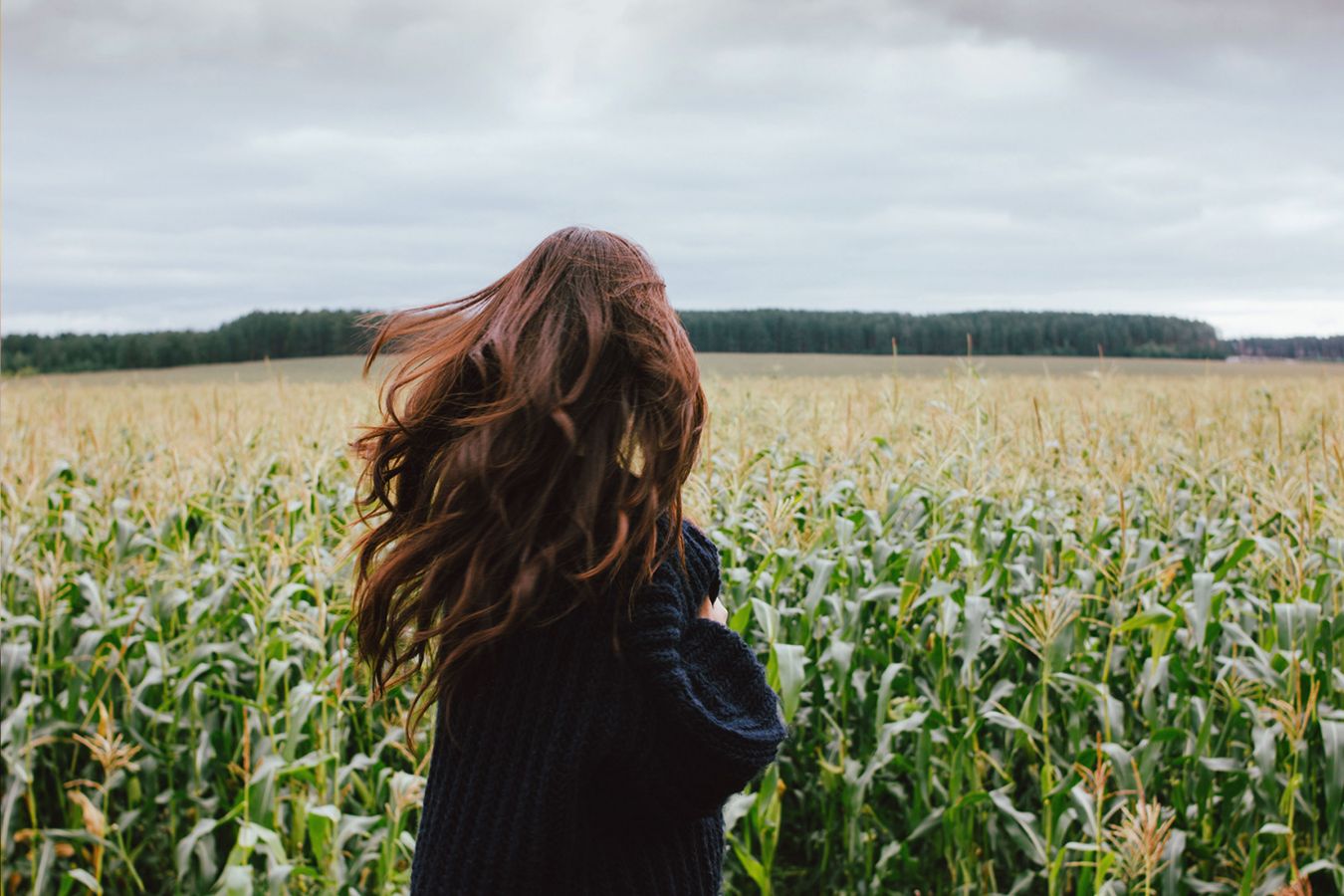 shampoo sólido Coco